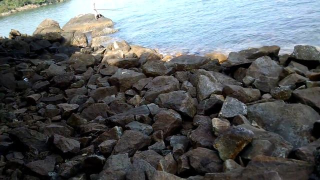 Джангл бич Цейлон Шри Ланка