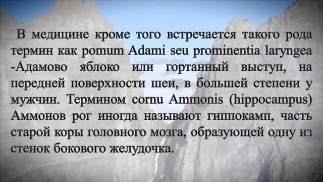 Вот, откуда растут ноги.... смотреть онлайн