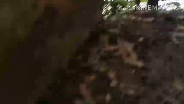 Gua/goa Jepang Yang Tersembunyi.. Pantai Lampon-Banyuwangi