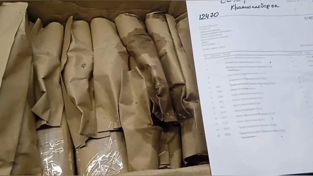 Заказ цветов у "Завод Флоры". Мята, традисканции, эсхинантус, альтернатера, цианотис. НОВИНКИ 2024! смотреть онлайн