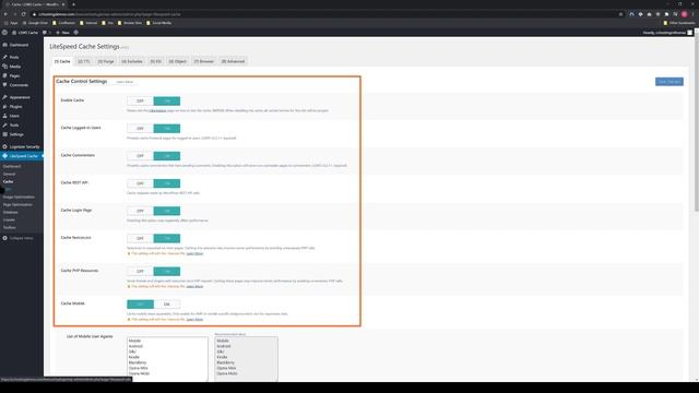 How to Install and Configure LiteSpeed Cache in WordPress смотреть онлайн