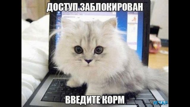 Картинка за деньги №1 Конкурсы) смотреть онлайн