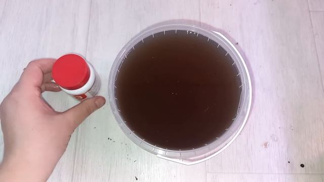 Разбудите замиокулькас! Чем опрыскать и полить замиокулькас, ЭЛИКСИР ПРОБУЖДАЮЩИЙ ЗАМИОКУЛЬКАС смотреть онлайн