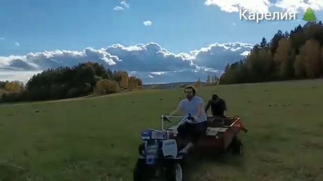 Посадка сада. Община в Карелии. Рерих.org смотреть онлайн