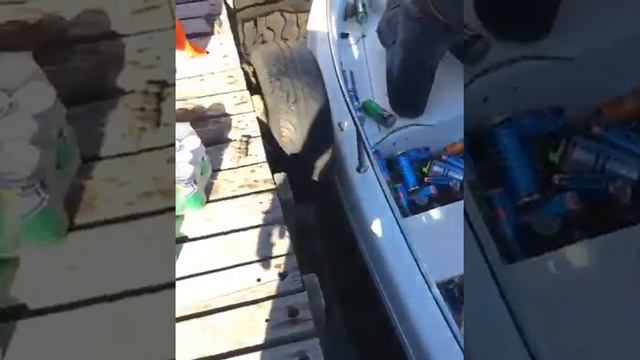 Смытые в Сочи бутылки принесло в Геленджик смотреть онлайн