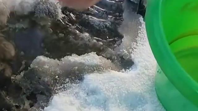 Житель Златоуста спас кошку, которая вмерзла в лед смотреть онлайн