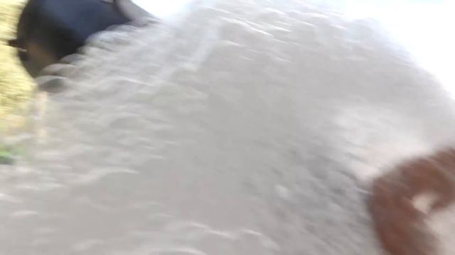 VLOG Пенная вечеринка на балконе смотреть онлайн