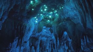 ✨Спокойной ночи, малыши✨ №41/2023 Спелеолог Филя