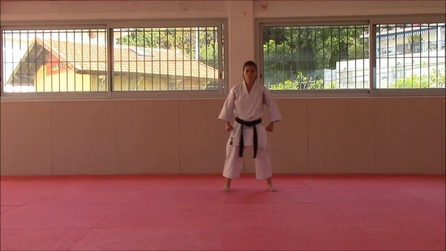 Gankaku - SF Karate Training смотреть онлайн