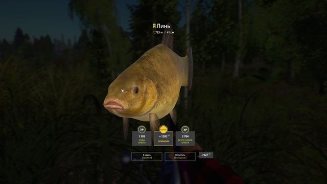 Прикорм — Как это работает? Русская Рыбалка 4 смотреть онлайн