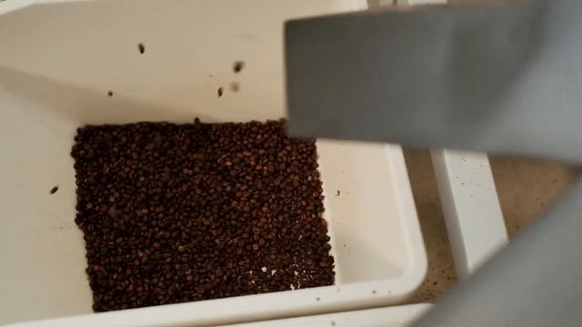 Botanica Coffee Roasters смотреть онлайн