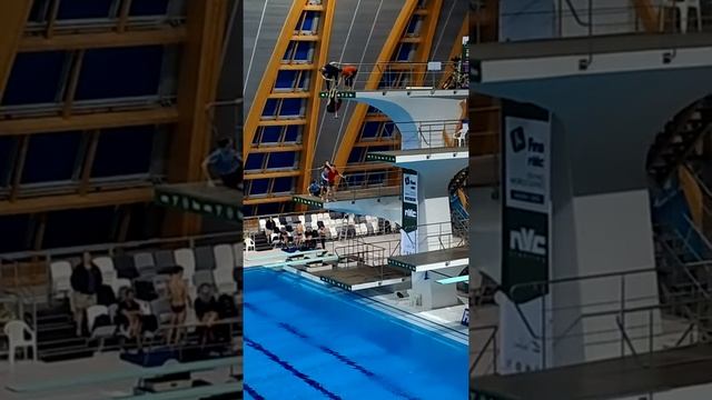 ДВОРЕЦ ВОДНЫХ ВИДОВ СПОРТА ШОУ смотреть онлайн