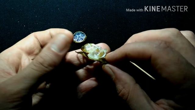 Вскрытие краба / Crab смотреть онлайн