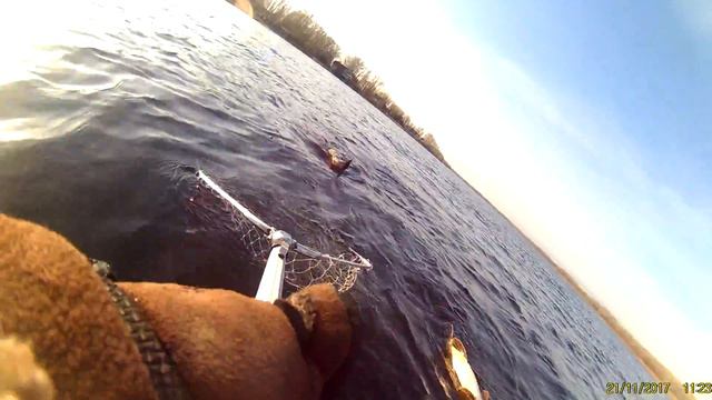 Щука на джиг. Осень на Волге. смотреть онлайн