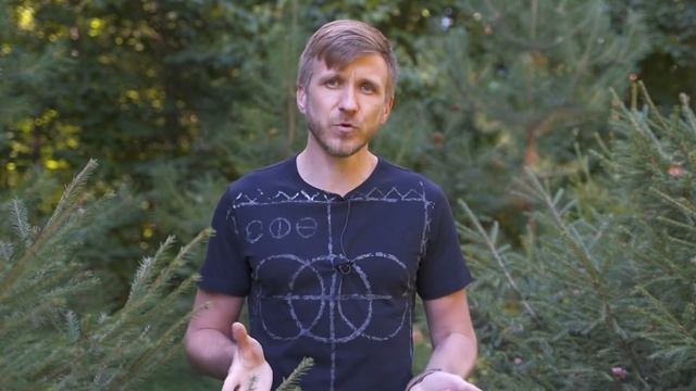 Лесная амнистия. Что делать если участок оказался в лесном фонде?