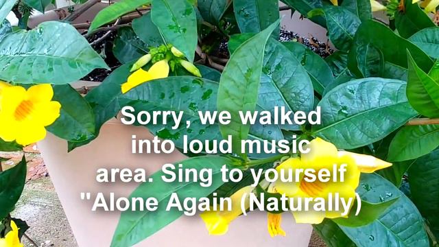 🌹 - Come Plant Shopping With Me & My Daughter At Stockslager's Greenhouse & Garden Center