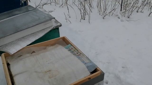 Холодная весна следим за кормами и вентиляцией. смотреть онлайн