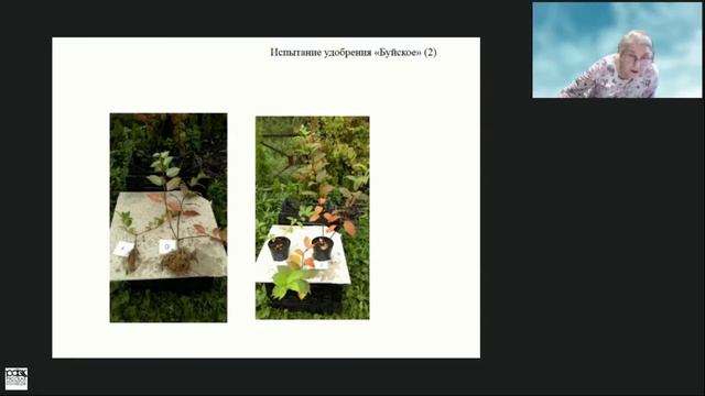 З.И. Смирнова "Роль питомника в сохранении и расширении биологического разнообразия декор. растений смотреть онлайн