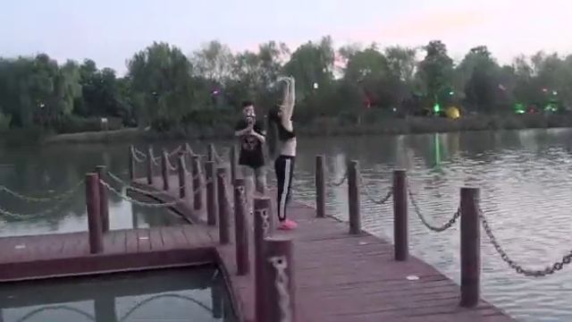 Professional Handheld Gimbal Stabilizer-S5B