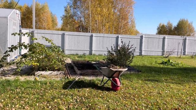 Дачный влог. Вид из окна на кухне. Сажаю чеснок под зиму. Поехали в питомник./ Country house смотреть онлайн