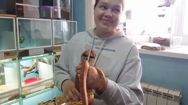 ВЛОГ #2 | БИЛЬЯРД/СТУДИЯ/ЭКЗОТАРИУМ смотреть онлайн