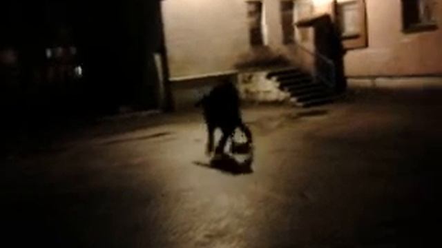 Ребята переиграли в игры смотреть онлайн