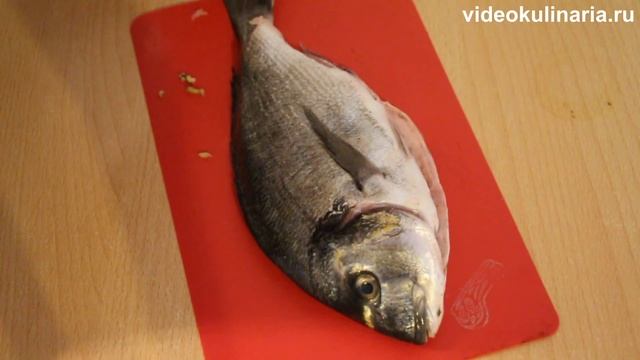 Рецепт-Запеченная дорада с помидорами от videokulinaria ru смотреть онлайн
