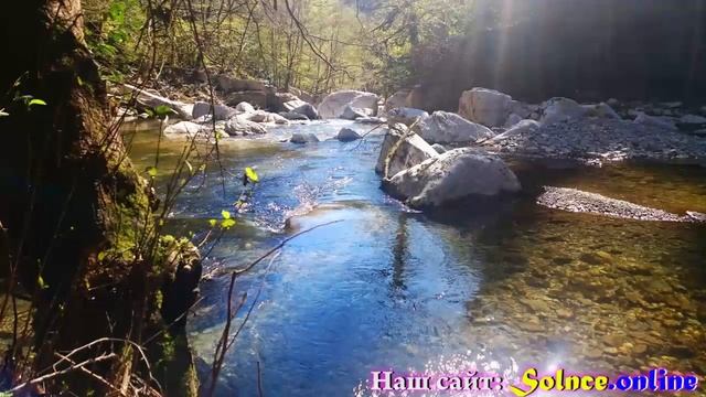 ВегаТур 10 дней в Сочи смотреть онлайн