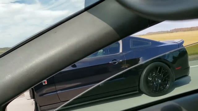 COCKY ROUSH MUSTANG OWNER GETS EMBARRASSED BY FORD FOCUS! MONEY RACE! смотреть онлайн