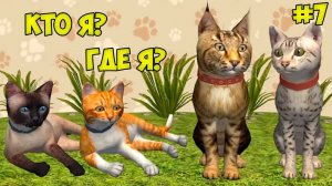 СИМУЛЯТОР КОТА и КОШКИ #7 Подписчики управляют игрой. Когда родится котёнок?