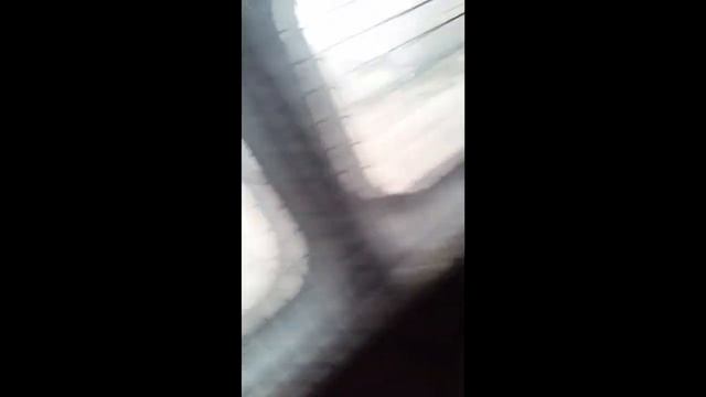 Стихотворение Пушкина- Узник. смотреть онлайн