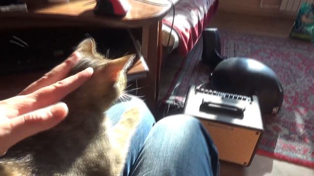 Тетя Чуня - говорящая кошка, 13.05.17 смотреть онлайн