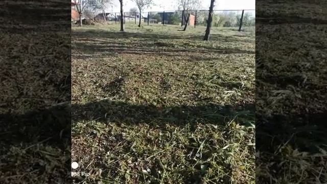 сад огород, круглый год. смотреть онлайн