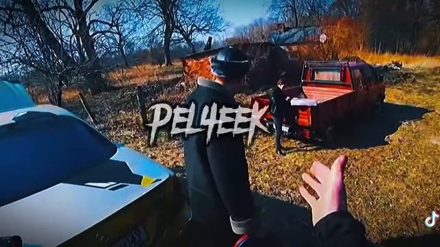 ПАША ПЭЛ смотреть онлайн