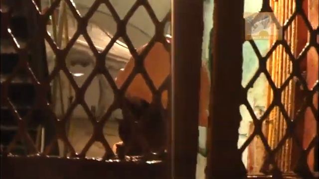 Gold Reef City: South Africa