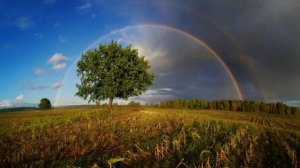 Дзяржаўны гімн Рэспублікі Беларусь / Государственный гимн Республики Беларусь