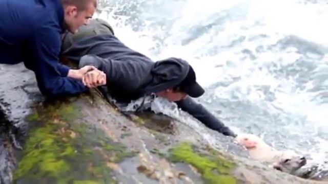 Твори добро ведь это как дышать, если ты живой ! смотреть онлайн