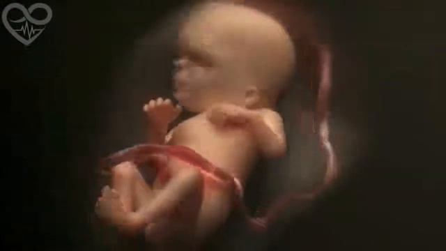 офигенно, рождение человека смотреть онлайн