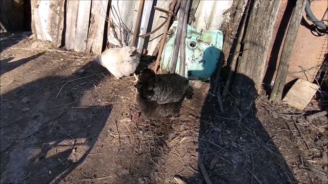 Апрель в деревне. Пасхальный кролик Эвелины смотреть онлайн