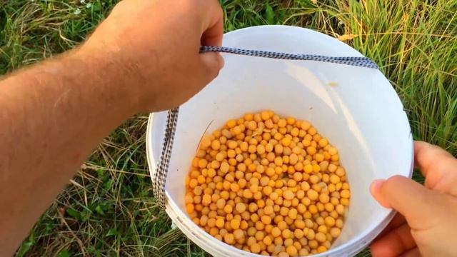 Секреты ловли линя на поплавочную удочку. Где и как ловить линя. смотреть онлайн