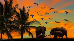 АФРИКАНСКАЯ БАРАБАННАЯ МУЗЫКА • Племенные ритмы • Шаманский танец •