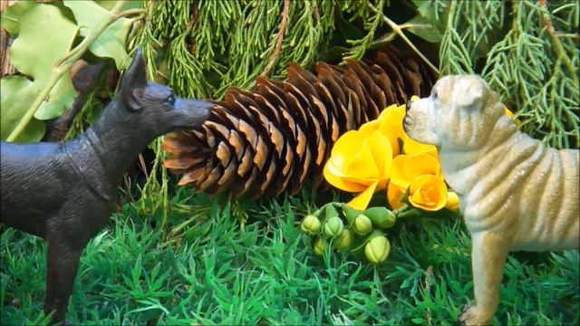 ДОБРЫЕ МУЛЬТИКИ про животных и машинки! СБОРНИК ИЗ ТРЕХ СЕРИЙ! Видео про животных смотреть онлайн