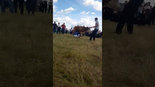 Улы дала ели смотреть онлайн