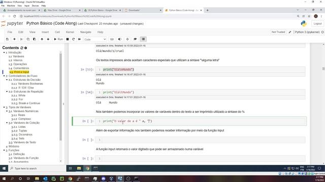 CCDD 013 - Python Básico - Print e Input смотреть онлайн