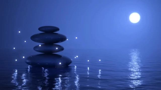 InShot_20231210_195828449.mp4