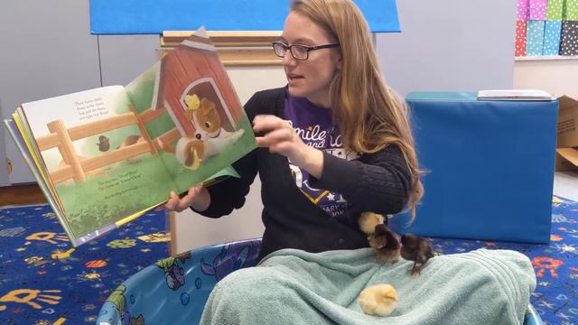 Storytime with Miss Erica - Baby Chicks! смотреть онлайн