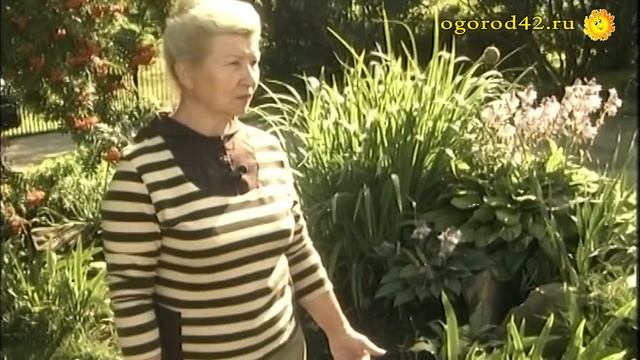 Дача в деревне. Украшения сада смотреть онлайн