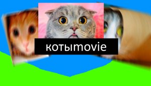 Котыmovie