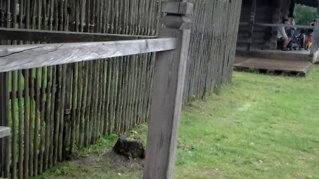 Учиться никогда не поздно смотреть онлайн
