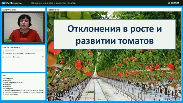 Болезни листьев томата смотреть онлайн